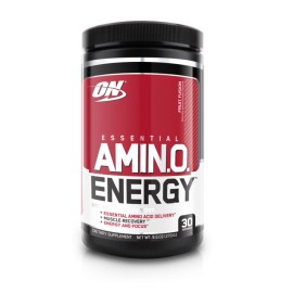 AMINO ENERGY 30 SERVS